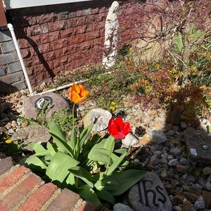 Meet your Posher, Corrina